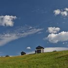 Bergwiesen im Sommer