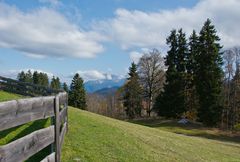 Bergwiesen mit Aussicht