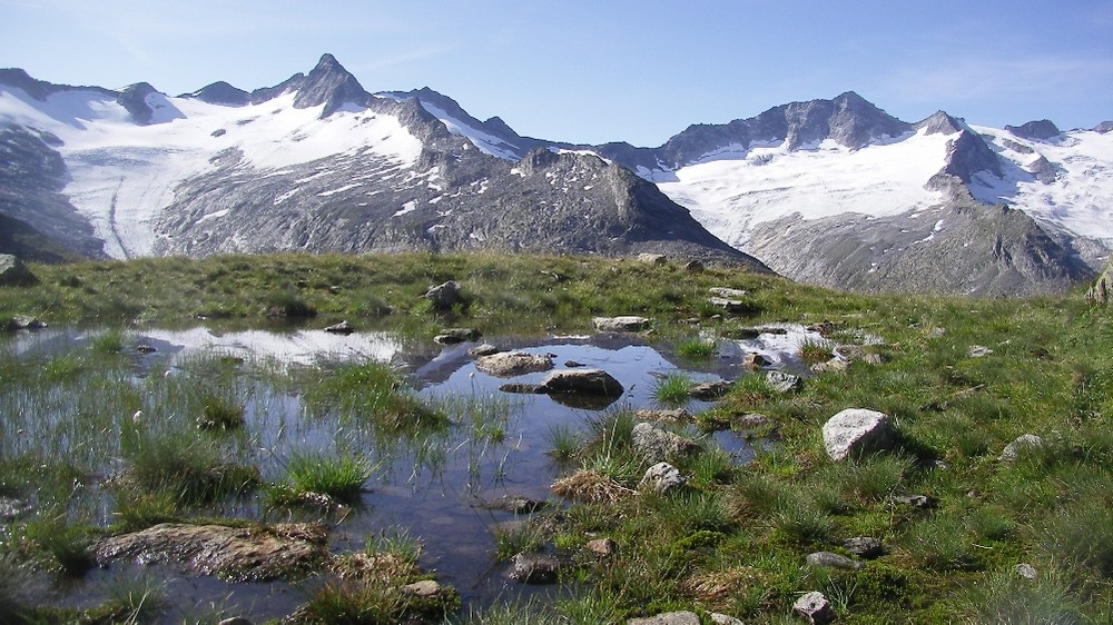 Bergwiesen und Gletscher