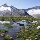 Bergwiesen und Gletscher