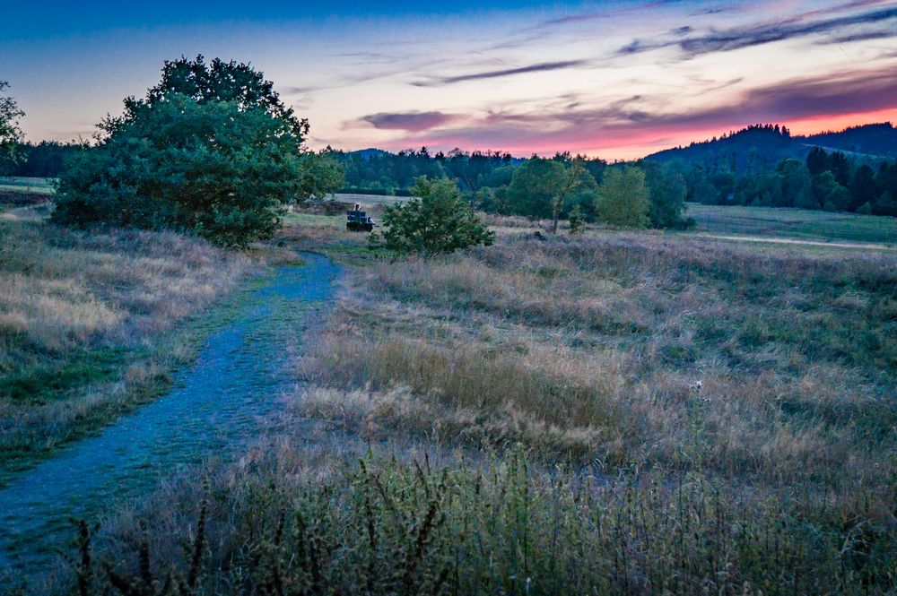 Bergwiesen zur Blauen Stunde - Goslar/Harz