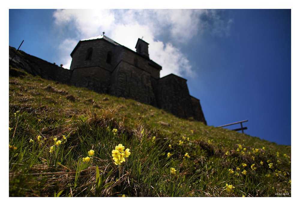 Bergwiesenfrühling...........