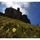 Bergwiesenfrühling...........