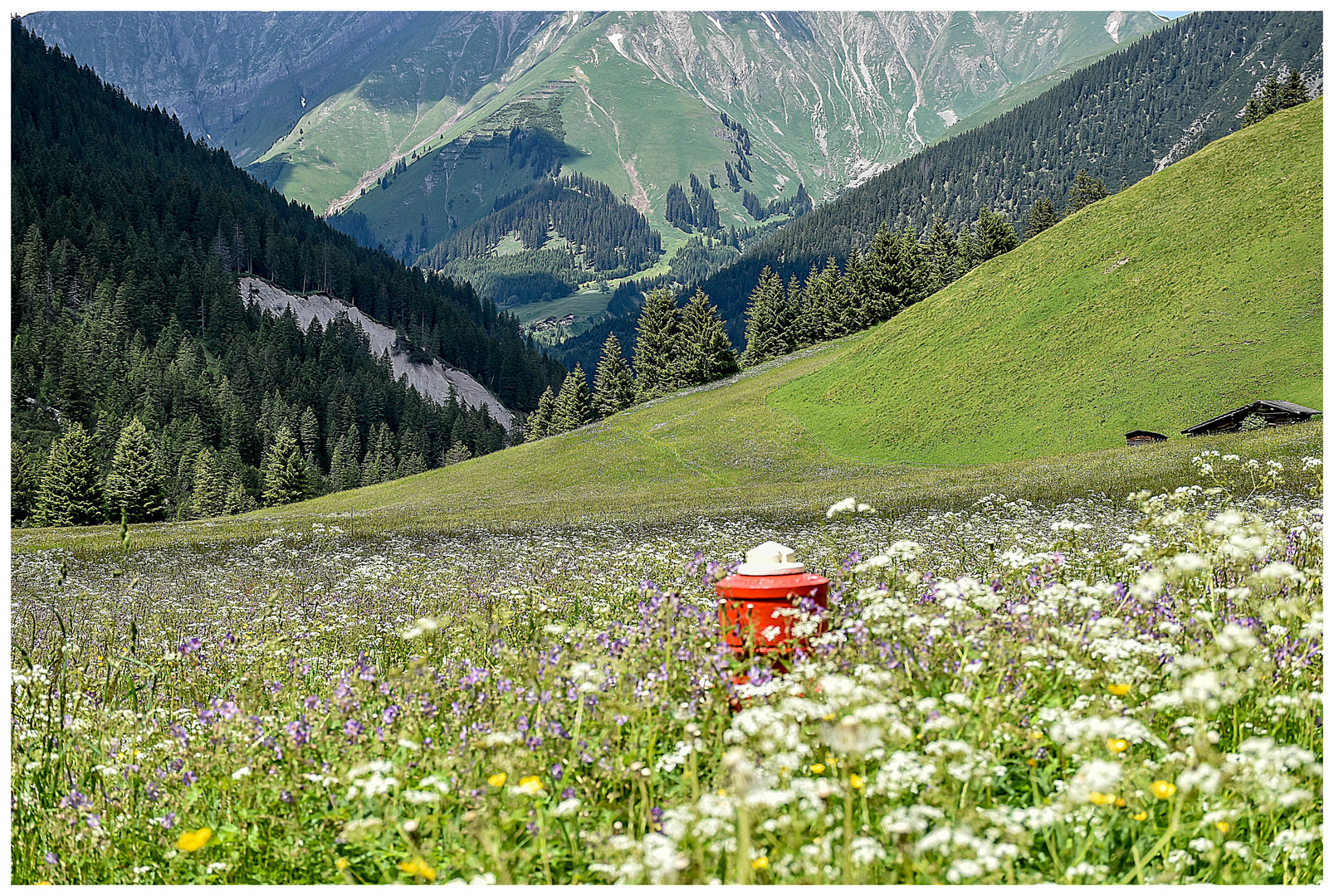 " Bergwiesenhydrant "