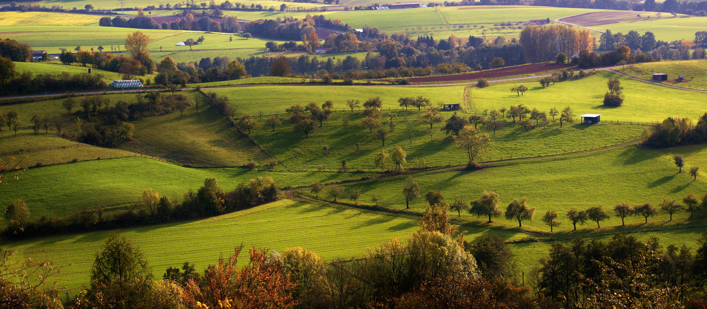 Alsjeblieft kijk Openbaren Zweet Bergwinkel. Foto & Bild | landschaft, Äcker, felder & wiesen,  landschaft/kinzigtal Bilder auf fotocommunity