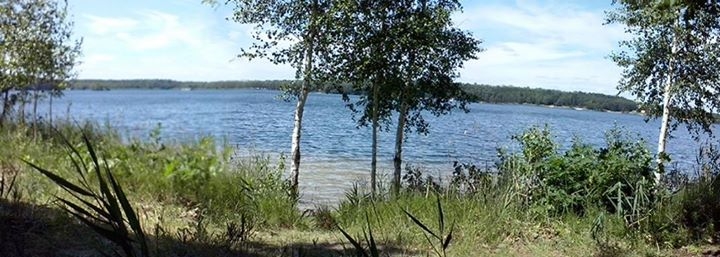 bergwitzsee