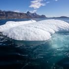 Bergy Bit in Greenland