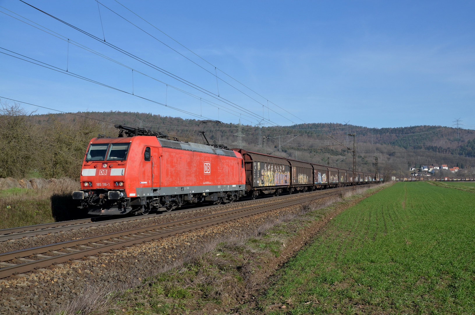 "Bergziege" im Fuldatal