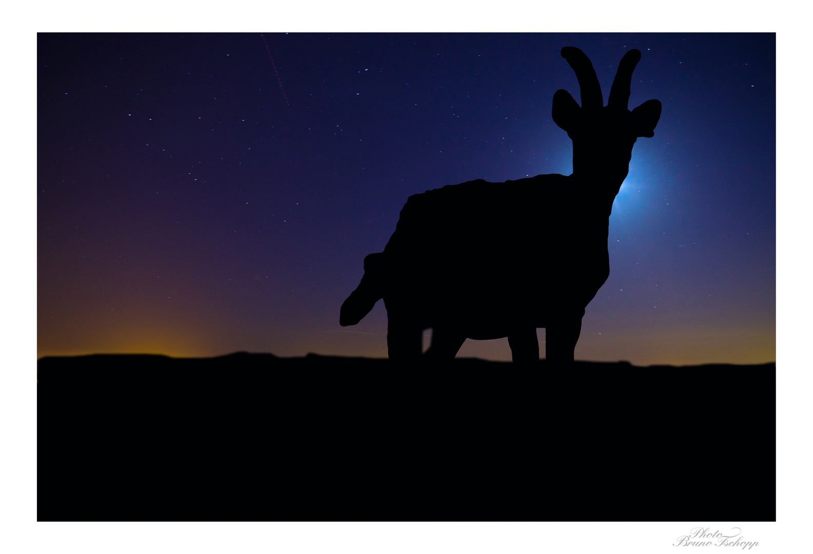 Bergziege im Mondlicht