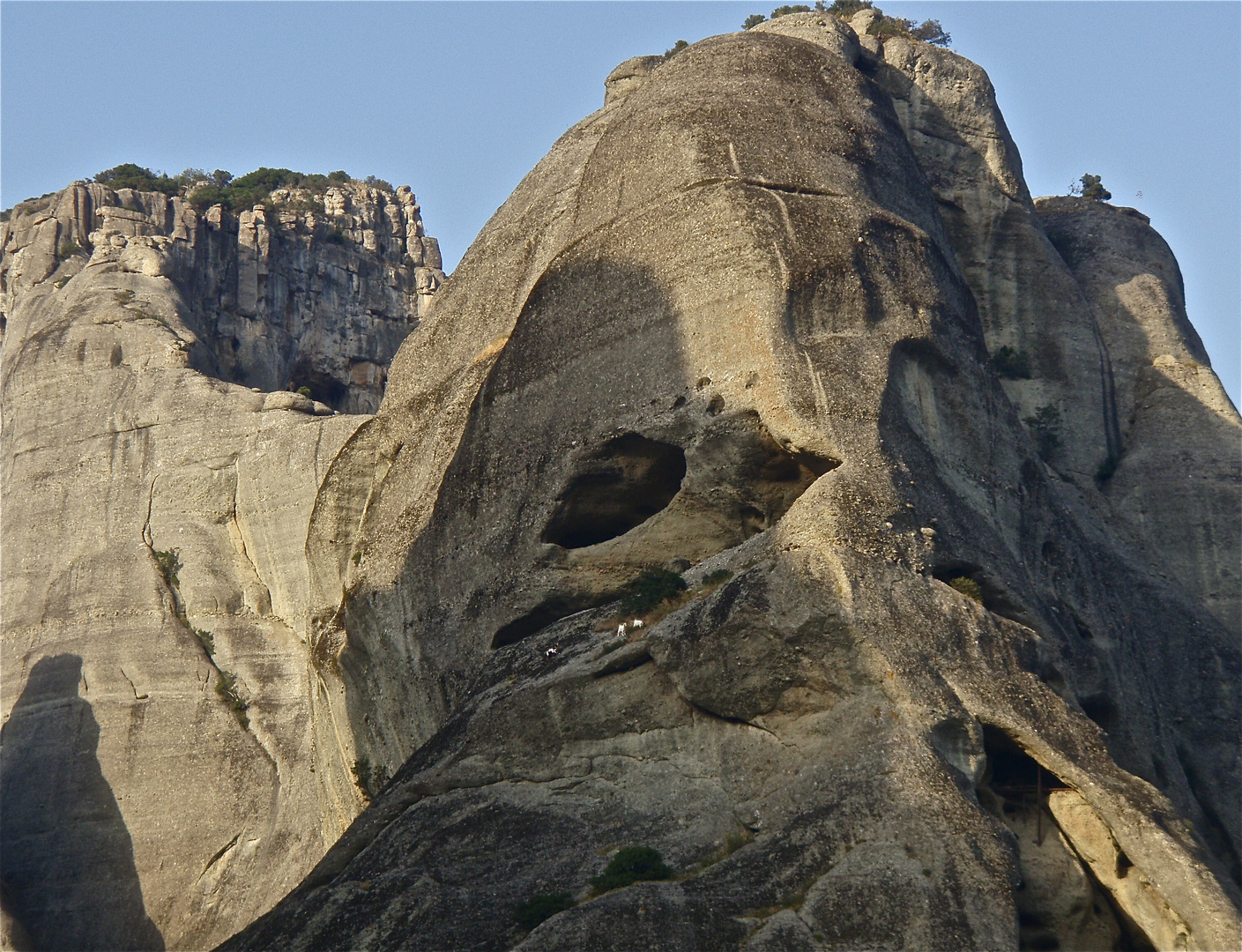 bergziegen, meteora, greece 2008