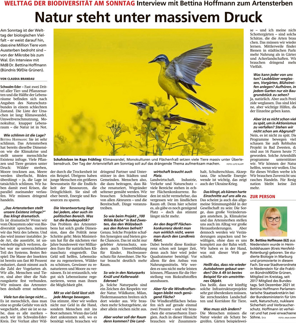 Bericht und Interview zur Biodiversität