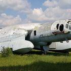 Beriev Bartini VVA-14 "CCCP-19172"