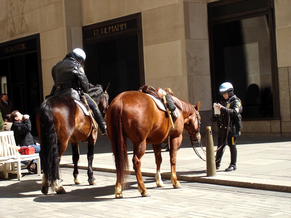 Berittene Polizei in New York