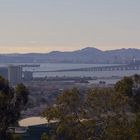 Berkeley and the Bay