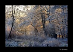 Berkelweg im Frost..