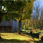 Berks County Autumn No. 1