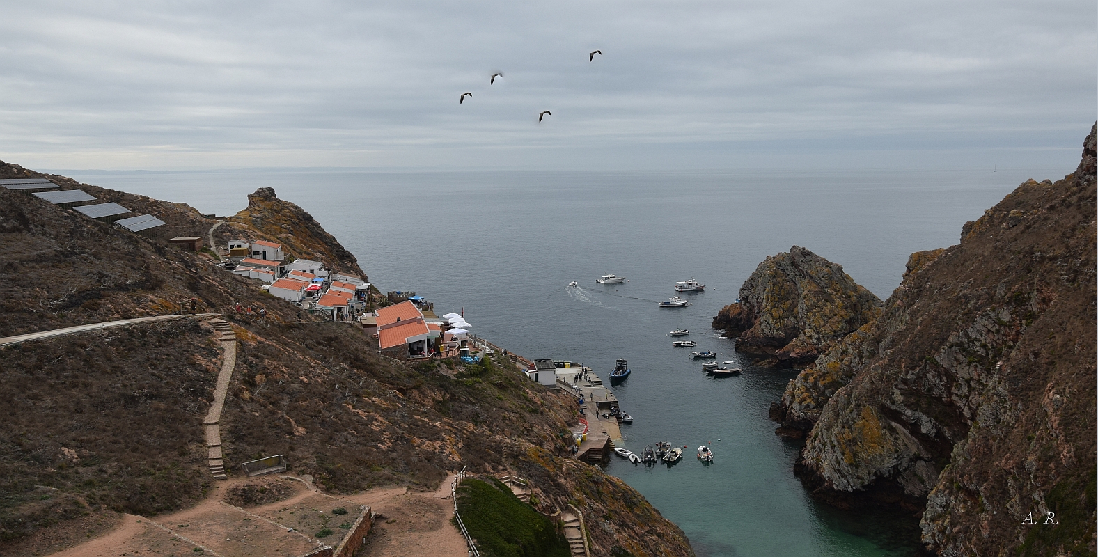 Berlengas Island