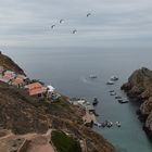 Berlengas Island