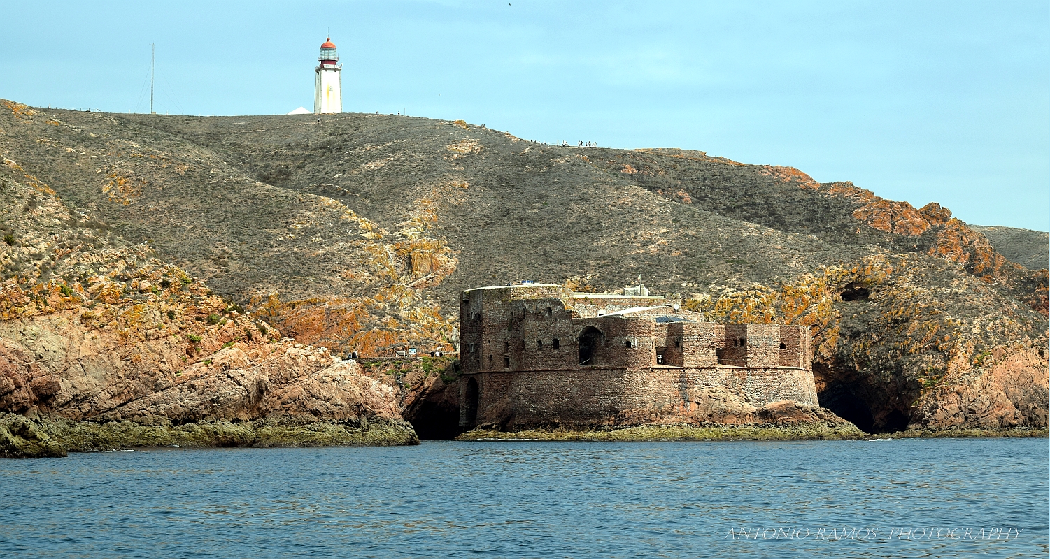 Berlengas Island - Portugal