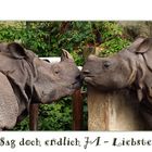 Berlin "anders": Hochzeit im Tierpark