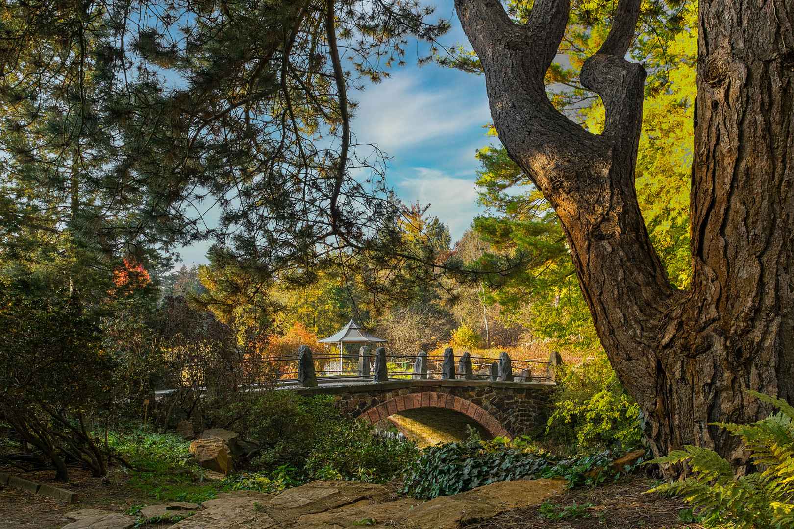 Berlin Botanischer Garten