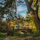 Berlin Botanischer Garten