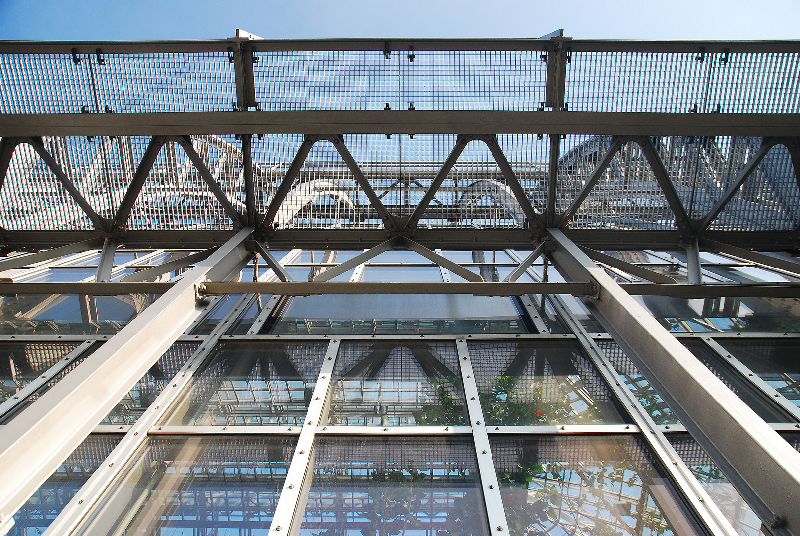 Berlin Botanischer Garten, Großes Tropenhaus (1907), detail