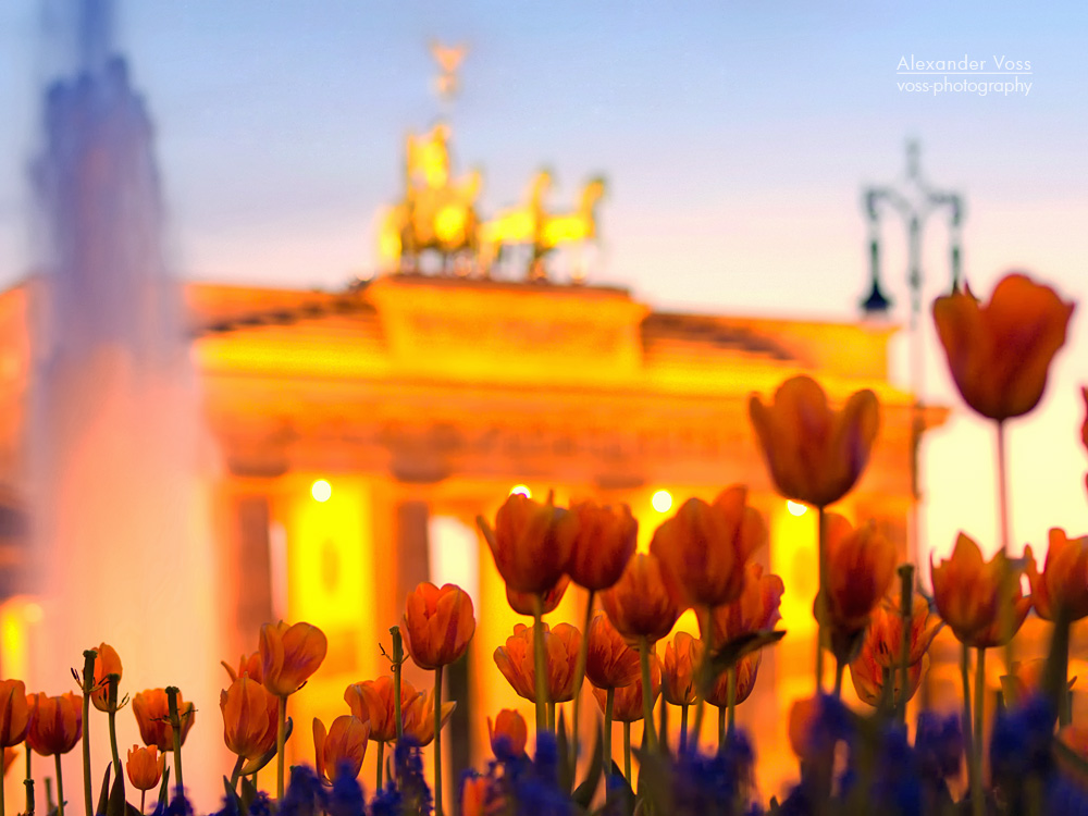 Berlin - Brandenburger Tor