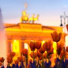 Berlin - Brandenburger Tor