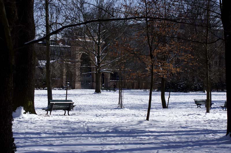 Berlin-Bürgerpark