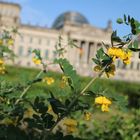 Berlin - Bundestag 