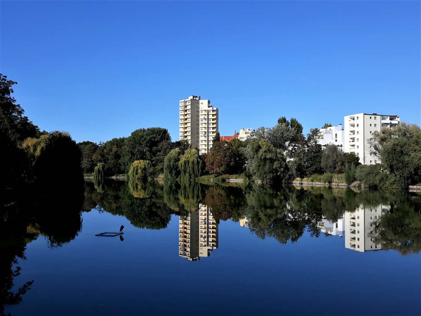 Berlin-Charlottenburg-Lietzensee im Querformat