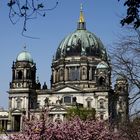 Berlin Dom