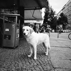 Berlin, Ecke Falckensteinstraße / Schlesische Straße