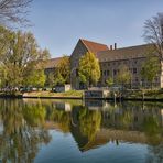 Berlin eines der grünsten Städte Deutschlands