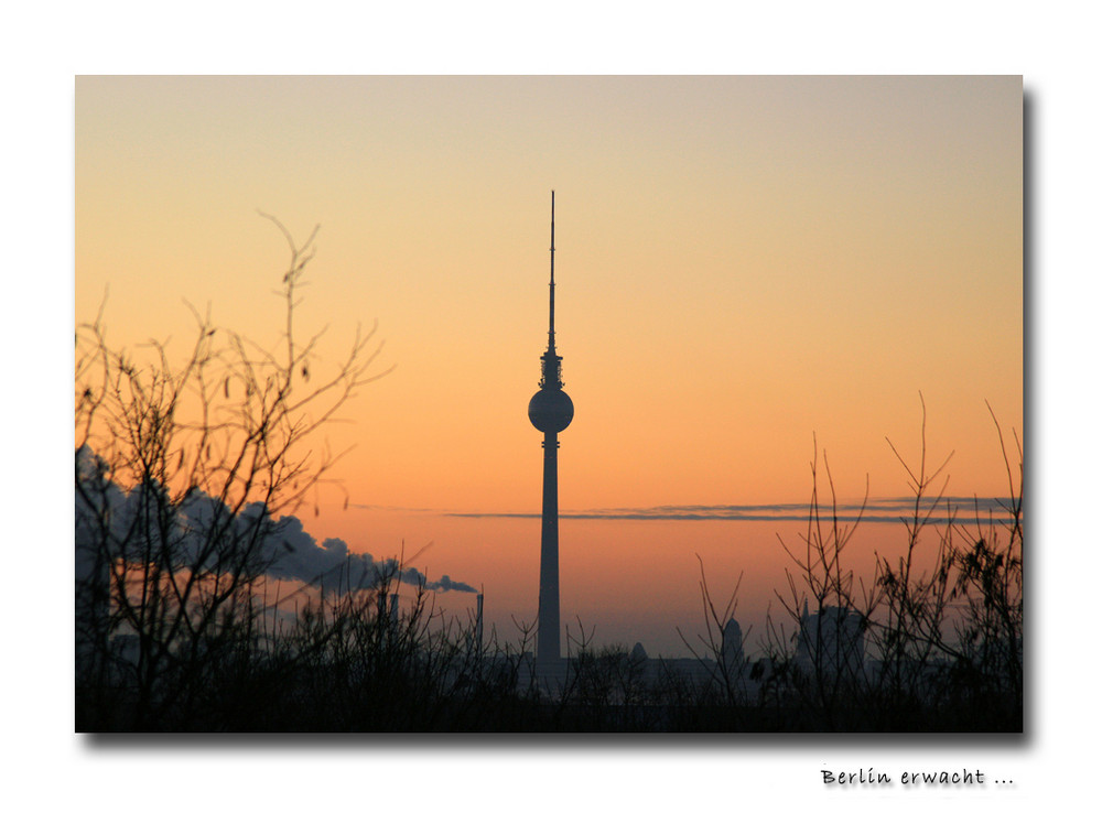 Berlin erwacht ...