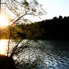 Berlin - Frühlingsabend an der Krummen Lanke 2