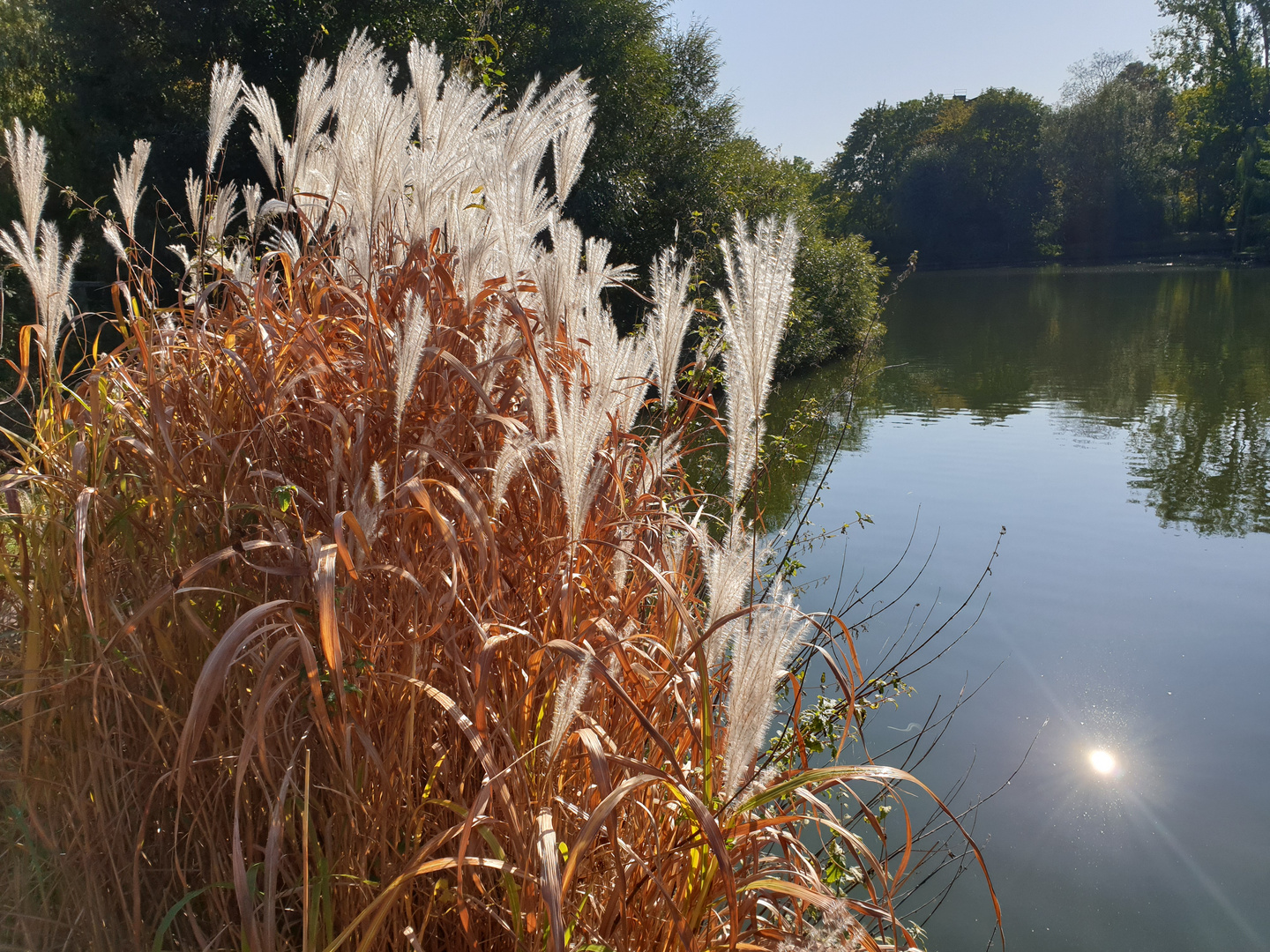 Berlin Heimatsee