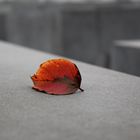 Berlin. Holocaust Memorial.