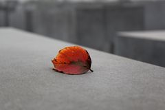 Berlin. Holocaust Memorial.