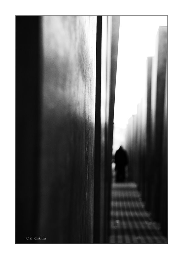 Berlin Holocaust Memorial V