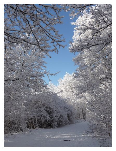 Berlin im Schnee