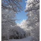 Berlin im Schnee