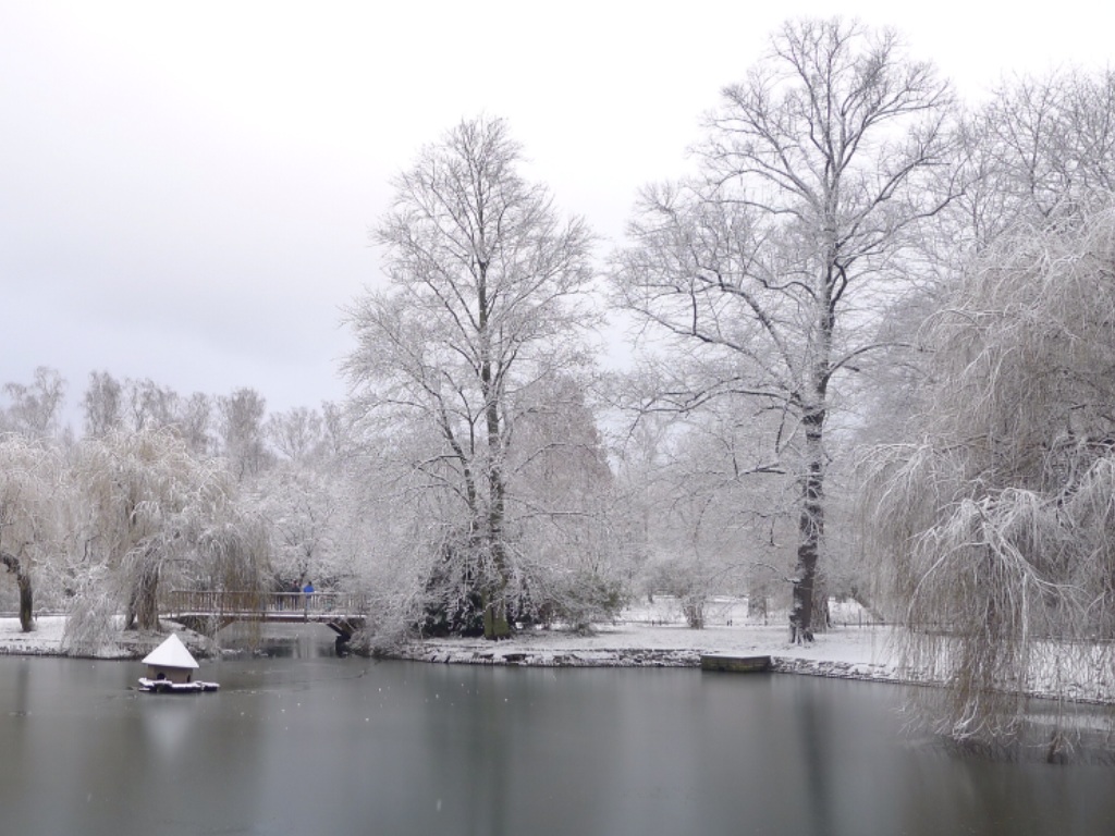 Berlin im Winter