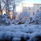 Berlin in schnee 1