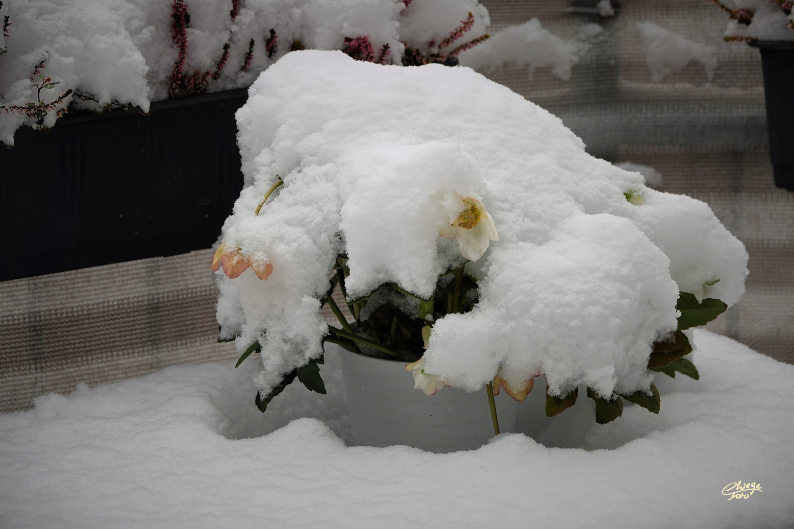 Berlin kann auch Schnee