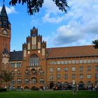 Berlin Köpenicker Rathaus