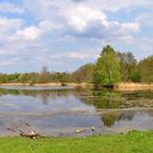 Berlin / Lübars-Köppchensee........ Panorama