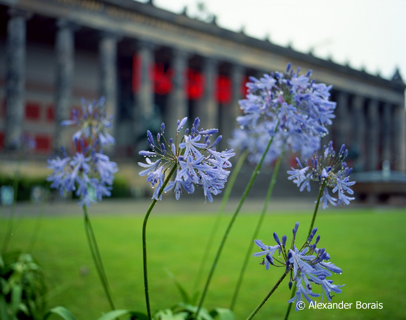 Berlin Lustgarten