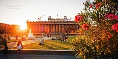 Berlin - Lustgarten / Altes Museum